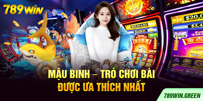 Mậu Binh – Trò chơi bài được ưa thích nhất
